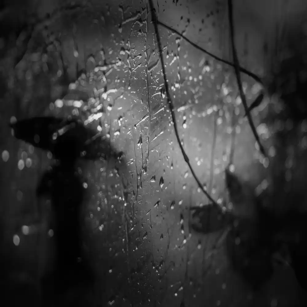 Tsuchida, Teruhiko: In the rain...