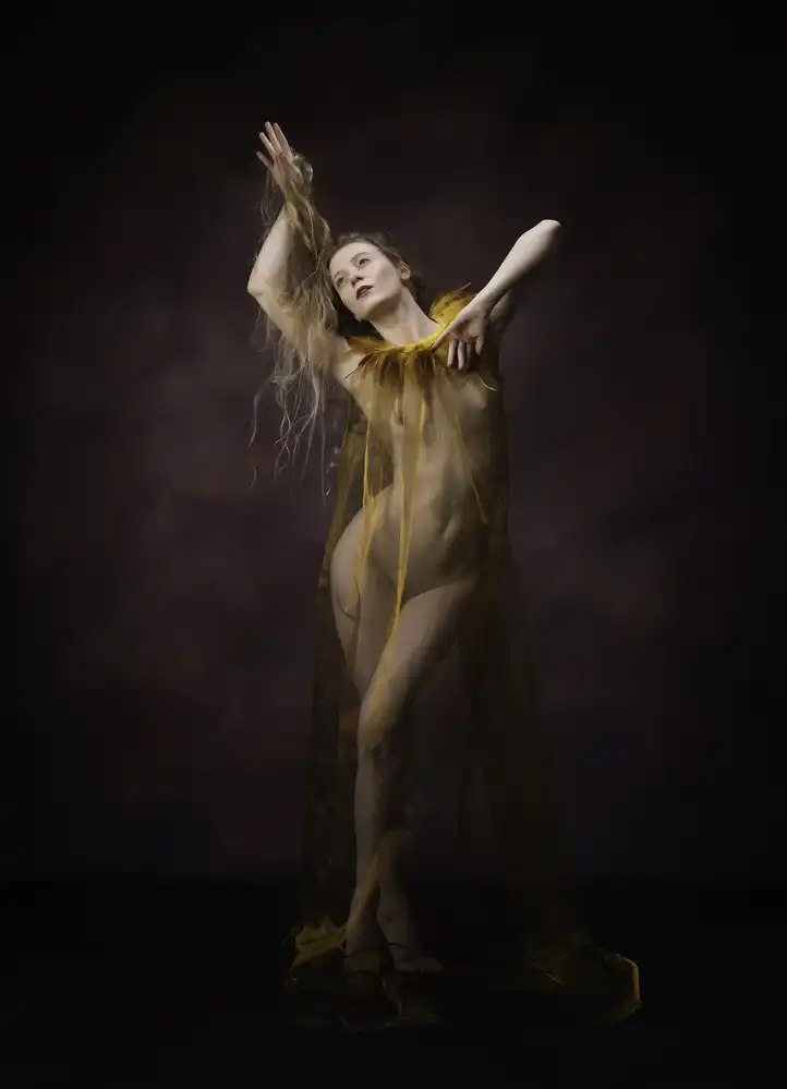 Studio, Catchlight: Piume d'oro