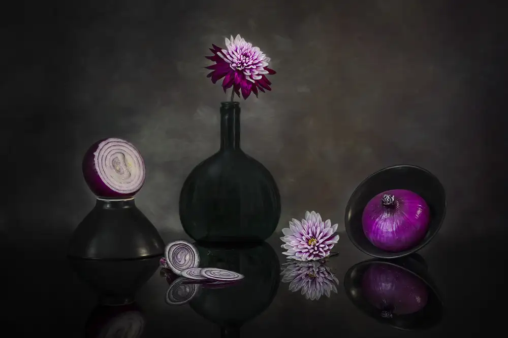 Jacobs, Lydia: Oignon violet