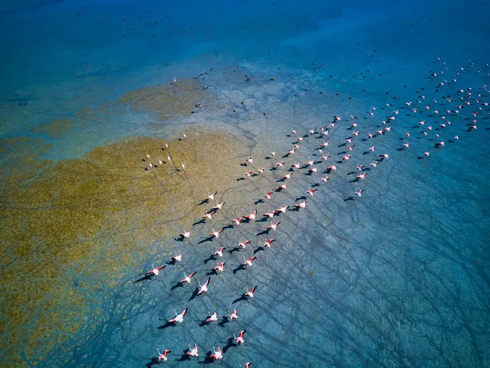 musakeskin: Lake yarıslı