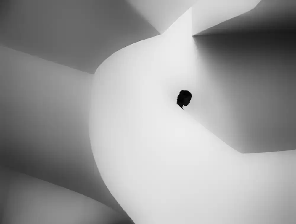 Wiel, van Jeroen: The descent