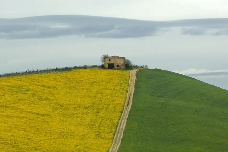 Kravanja, Jure: On the a crossroad