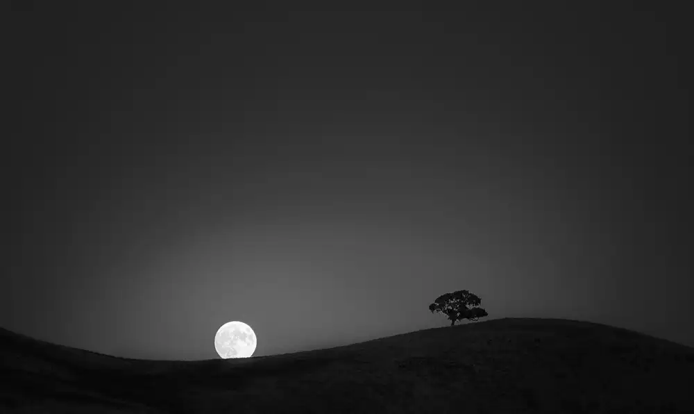 Ning, Aidong: Harvest Moon