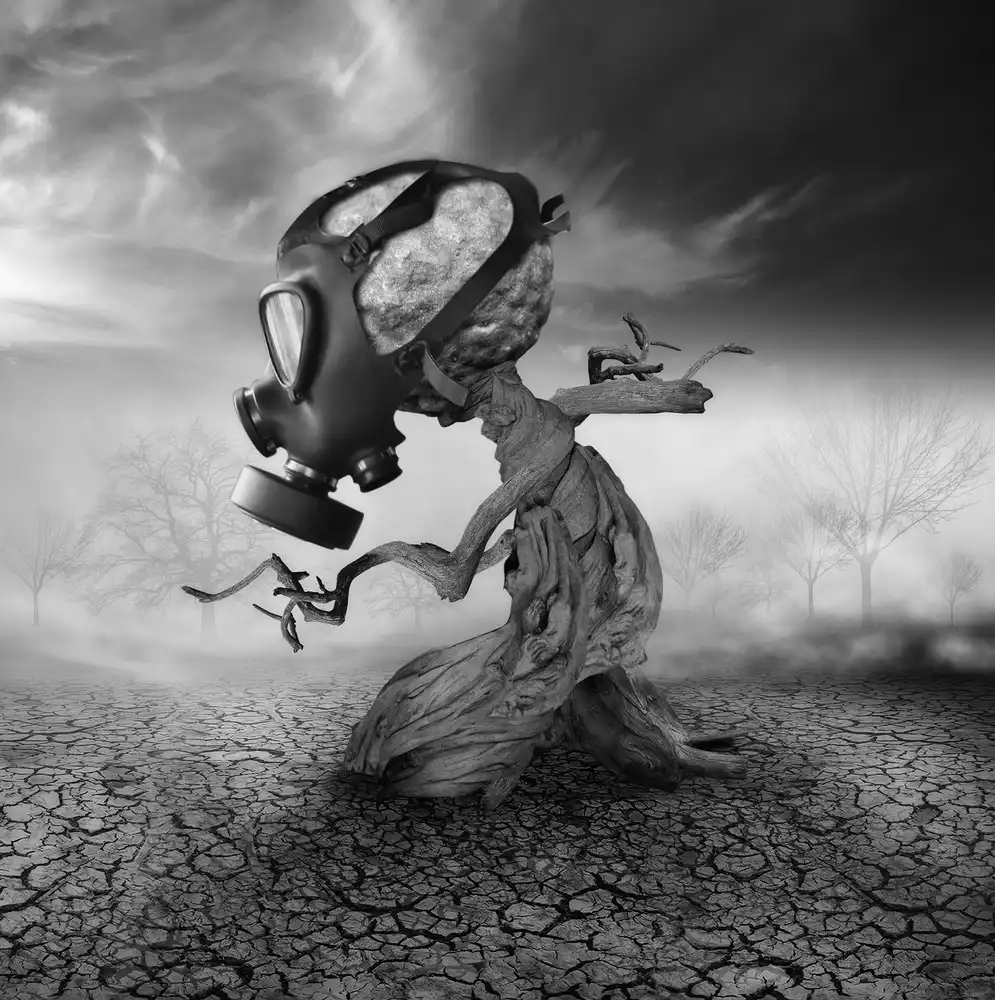 Sulistiawan, Hari: Souhait mort