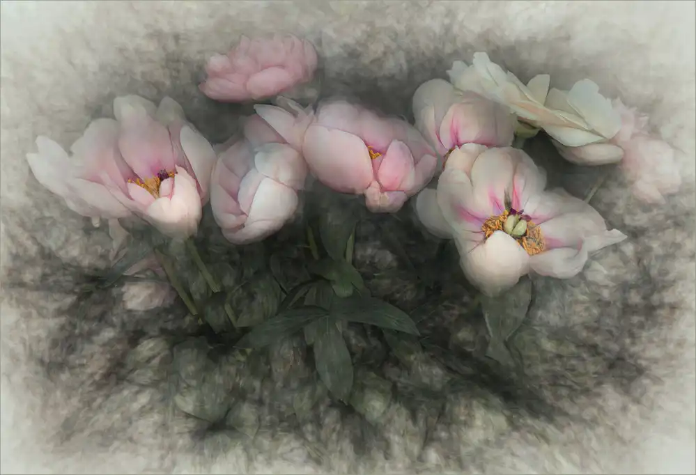 Claes, Gilbert: fascino della natura