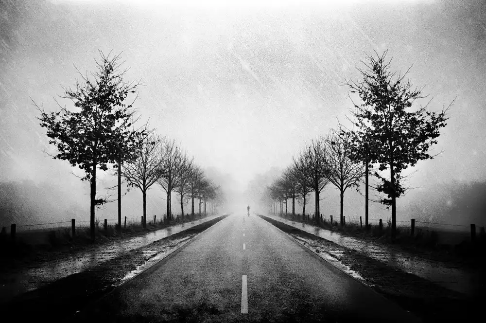 Dauria, Adam: A Mortal In A Mirror World