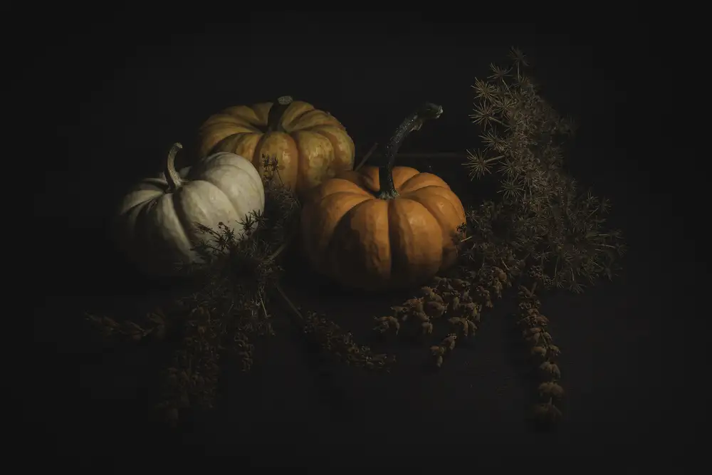 Kiral, Cicek: Vor Halloween