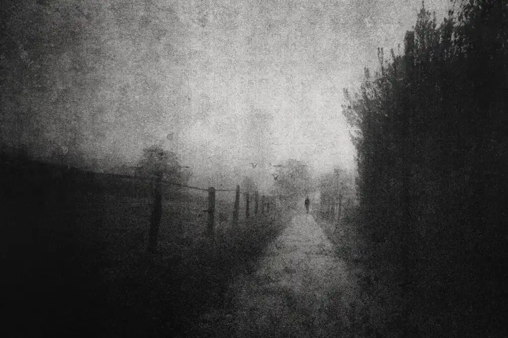 Dauria, Adam: inescapable