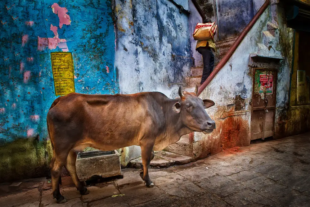 Cavalli, Giovanni: Vicolo di Varanasi,2019