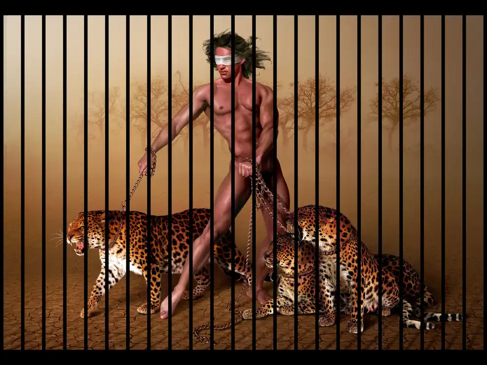 DDiArte: Leopards