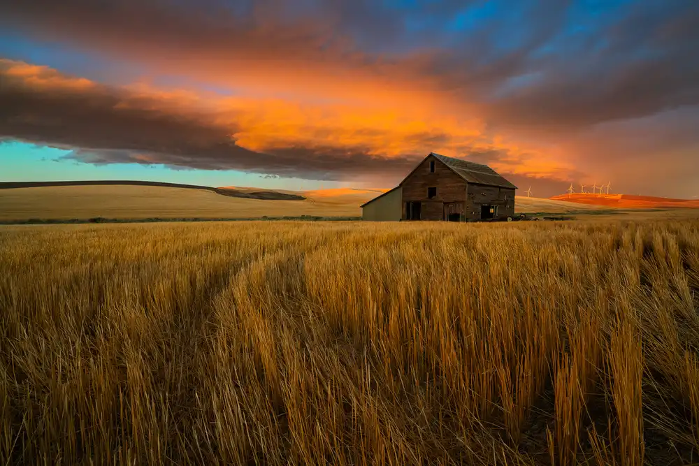 Fan, John: Tempesta su Palouse