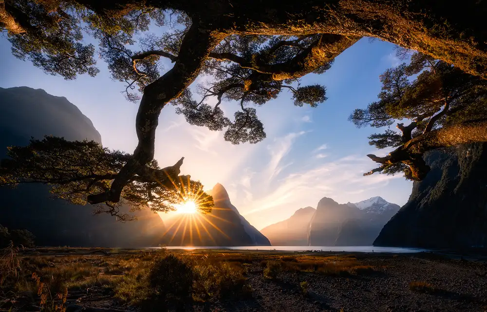 Zhu, Jingshu: Sonniger Tag im Milford Sound