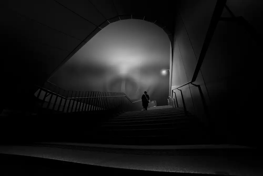 Petrocca, Domenico: Stairway to Heaven