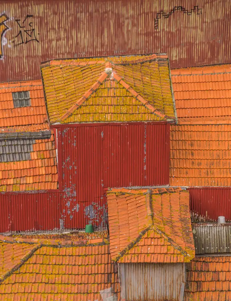 Raif, Joshua: Rooftops of Porto