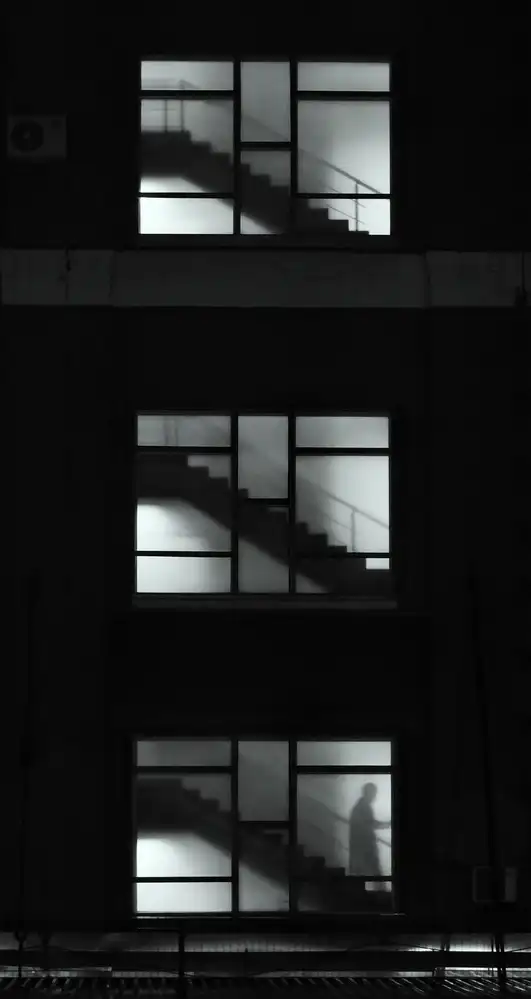 Makunin, Maxim: Escalier des ombres