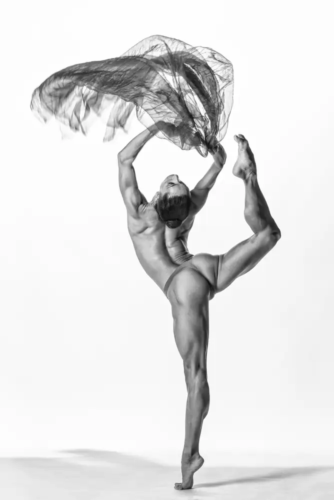 Stalmans, Luc: Danse d'attitude de puissance