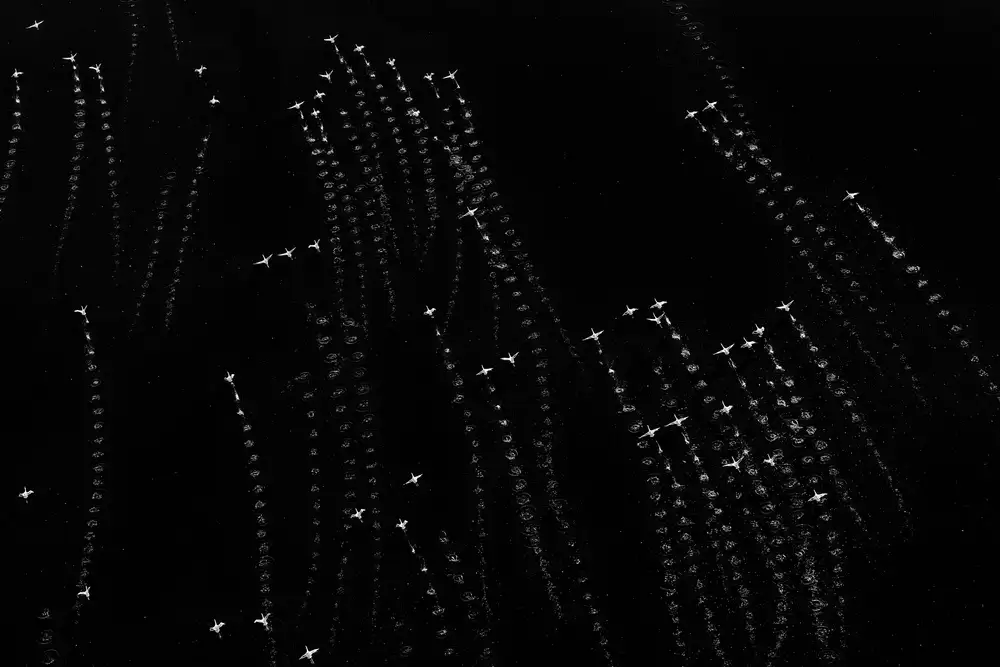 Zhao, Henry: Galaxia