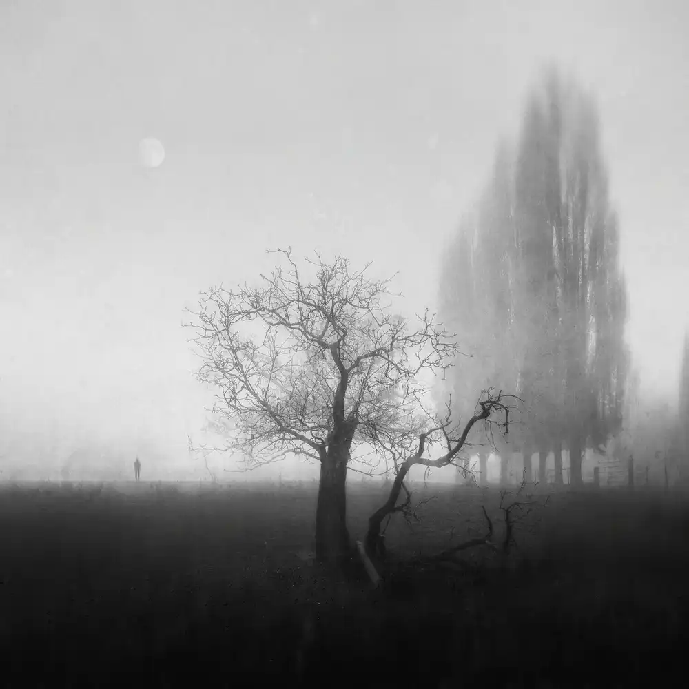Dauria, Adam: As Above, So Below