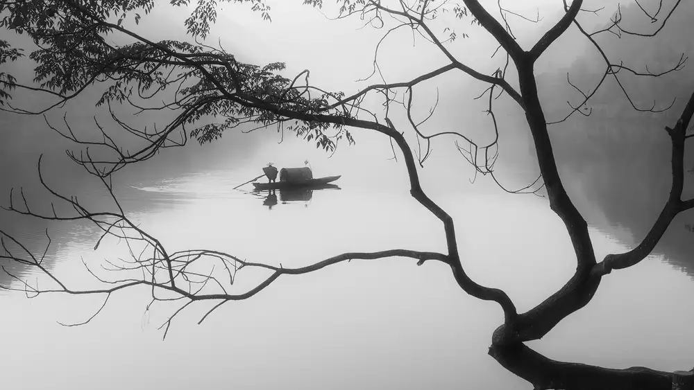 Z, Bingo: Brouillard