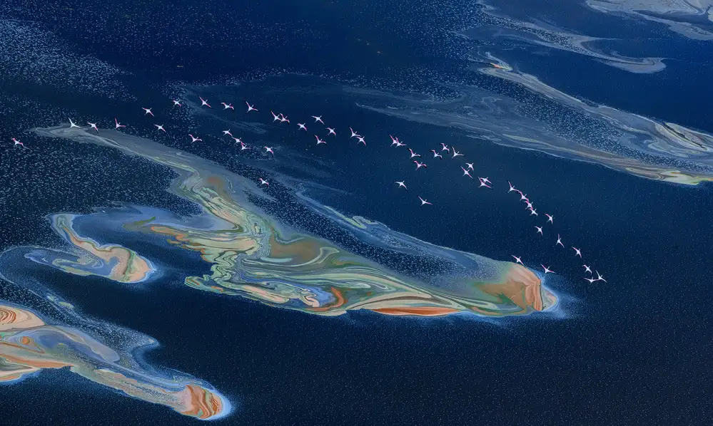 Fischer, Jie: Magadi-See