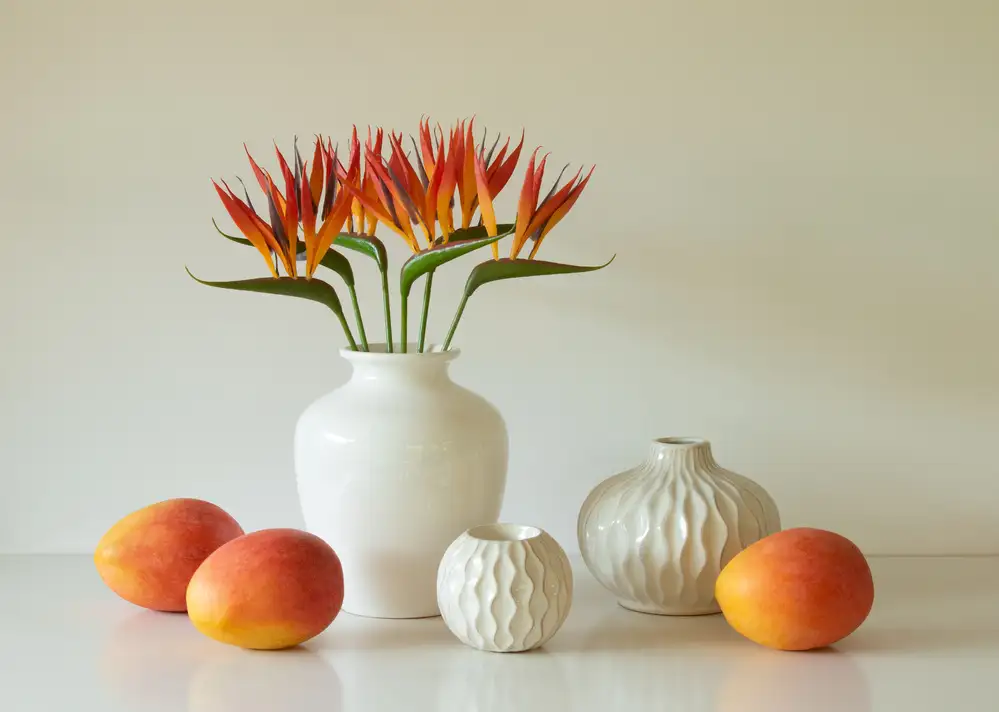 Hammer, Jacqueline: Heliconia con manghi