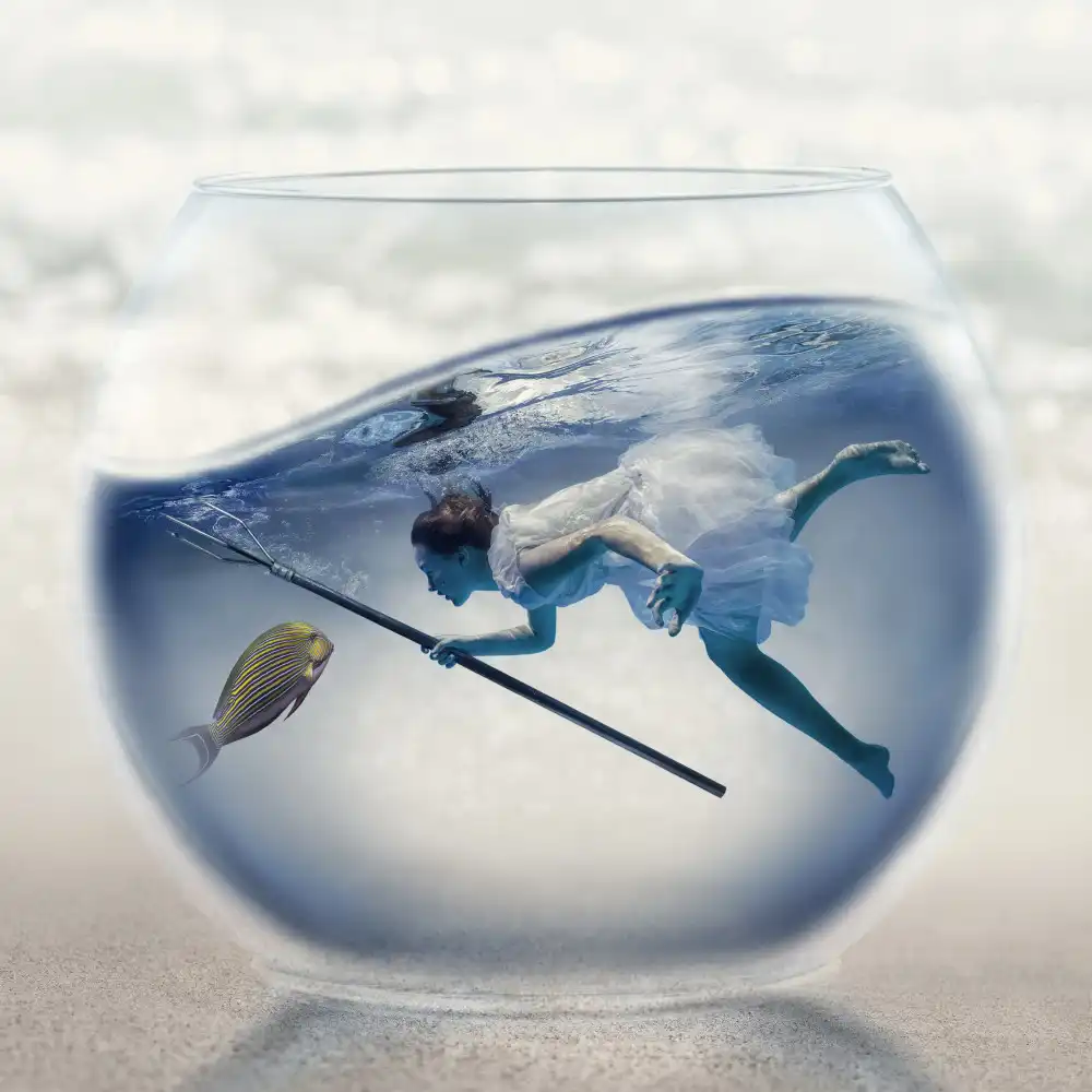 Laudin, Dmitry: pesca