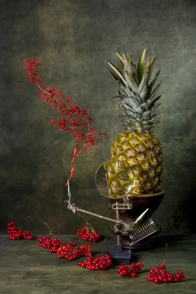 Barkow, Brig: Still life with viburnum and pineapple