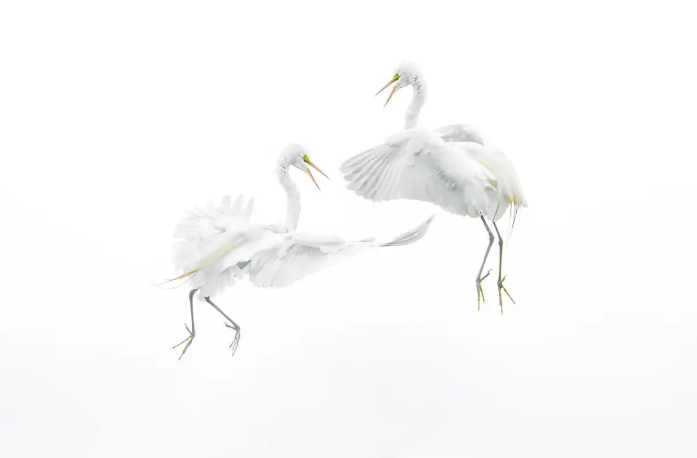 Deng, Larry: danza del cielo