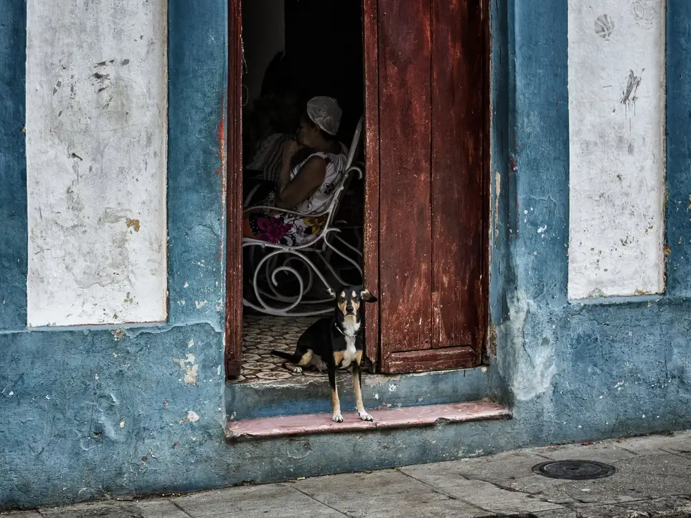 Stranak, Pavol: kleiner Wachhund