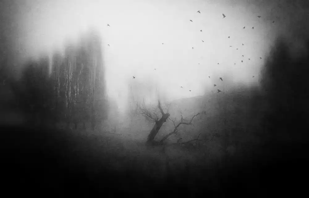 Dauria, Adam: Aghast Agape