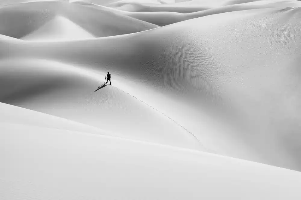 Jamshidian, Hamid: Schatten der Wüste
