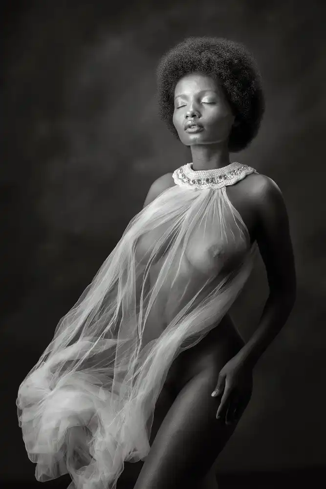 Wilkinson, Hugh: Shasta in Mono