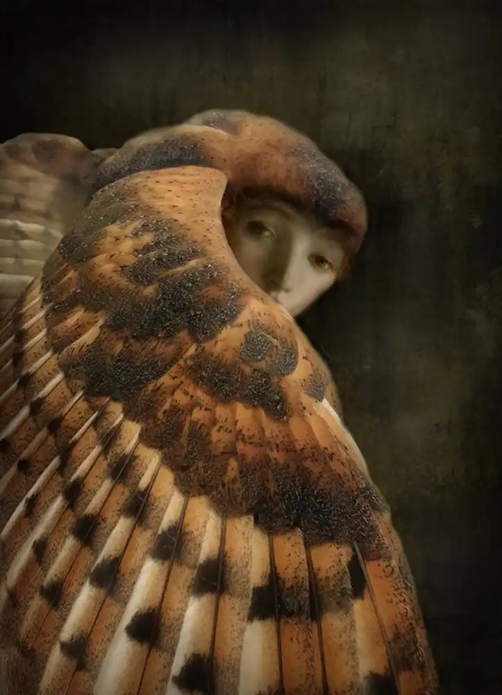 Hummel, Jeffrey: Harpyie