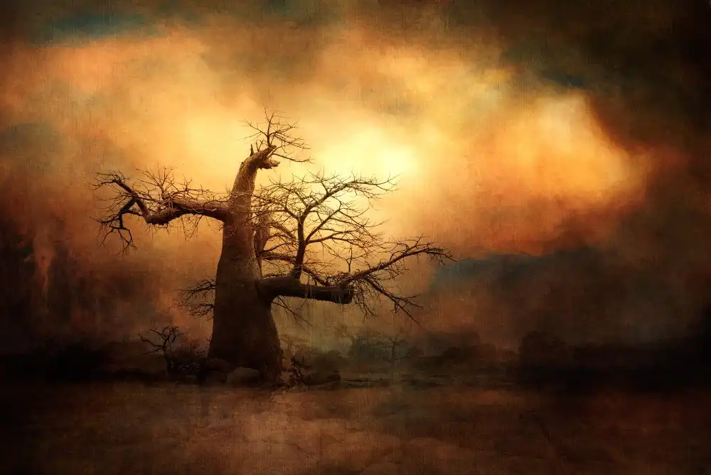 Gerber, Charlaine: Mocný Baobab...