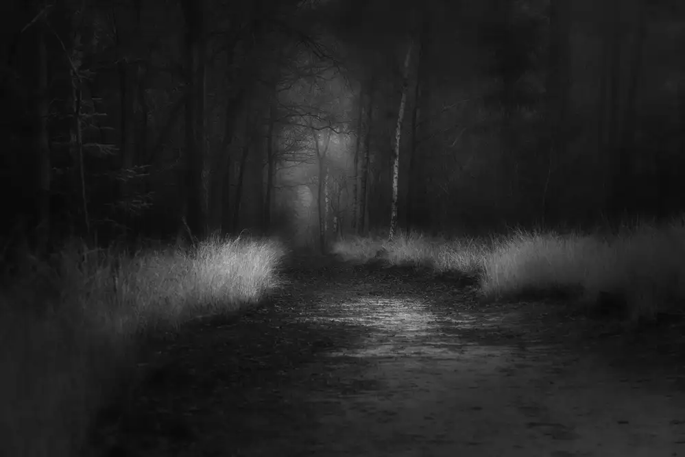 Dingemans, Saskia: Tonos en negro