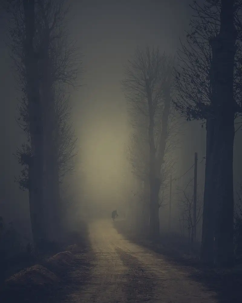 Fraccaroli, Andrea: Mann im Nebel