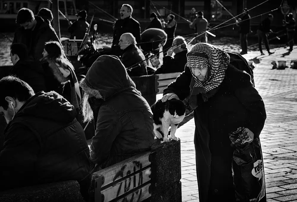 Pancareken, Yavuz: Compassion