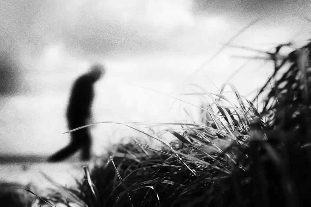 Tänzer, Ina: Depressione