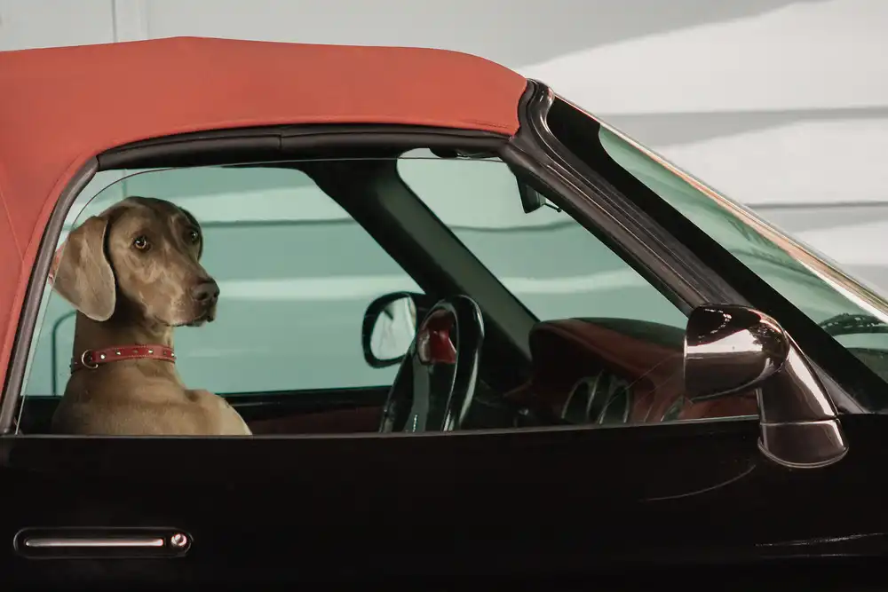 Hermann, Uschi: lady
