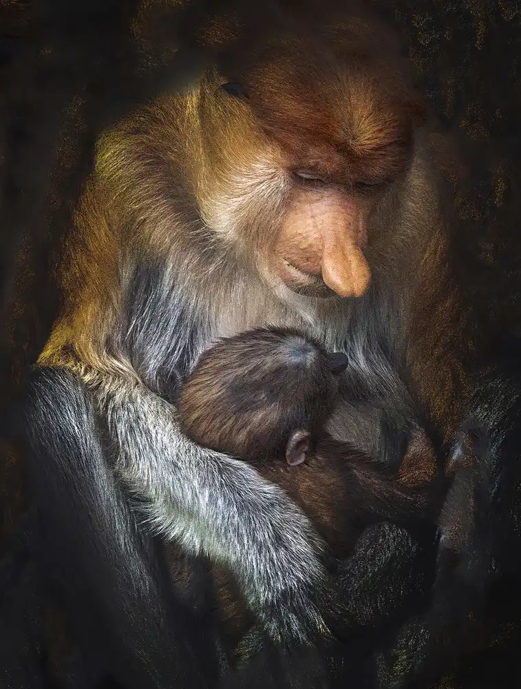 Bunjamin, Antonyus: Madre amorevole