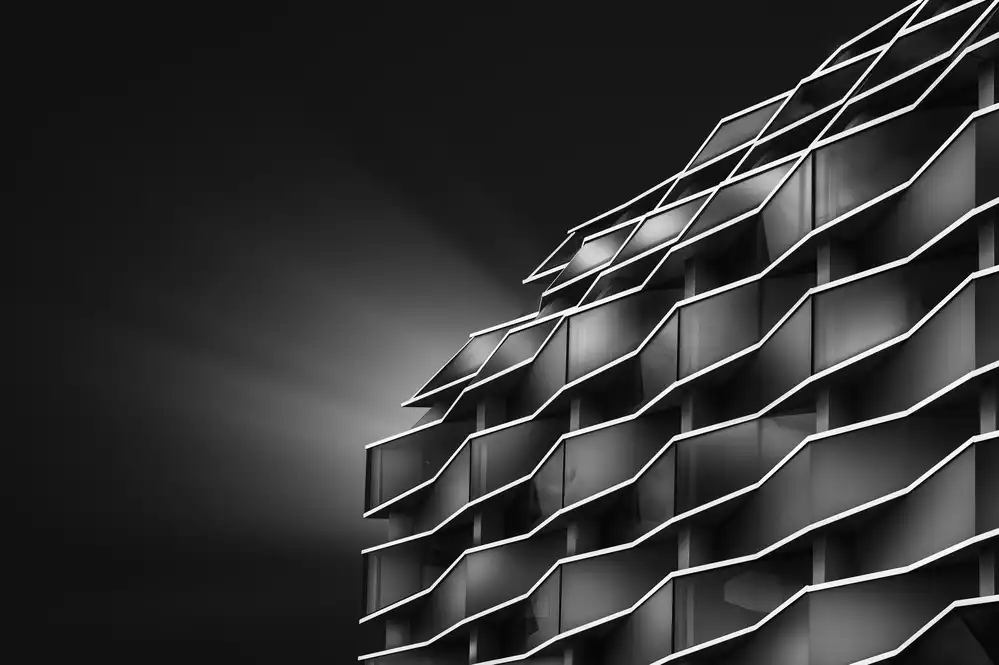 Dueso, Ruiz Jorge: The Nest