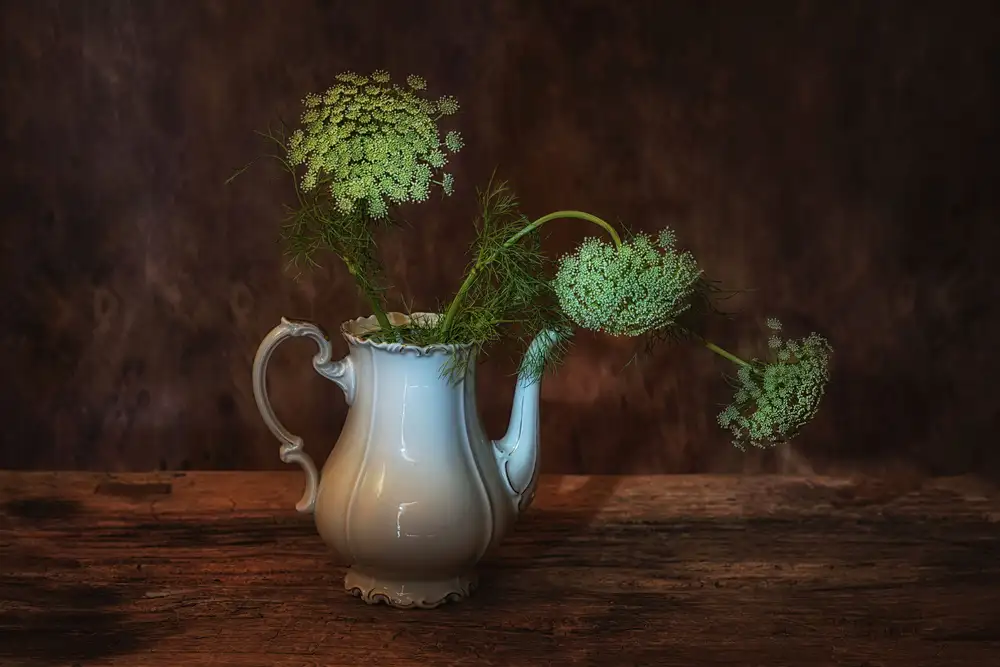 Dingemans, Saskia: Semplice,buongiorno
