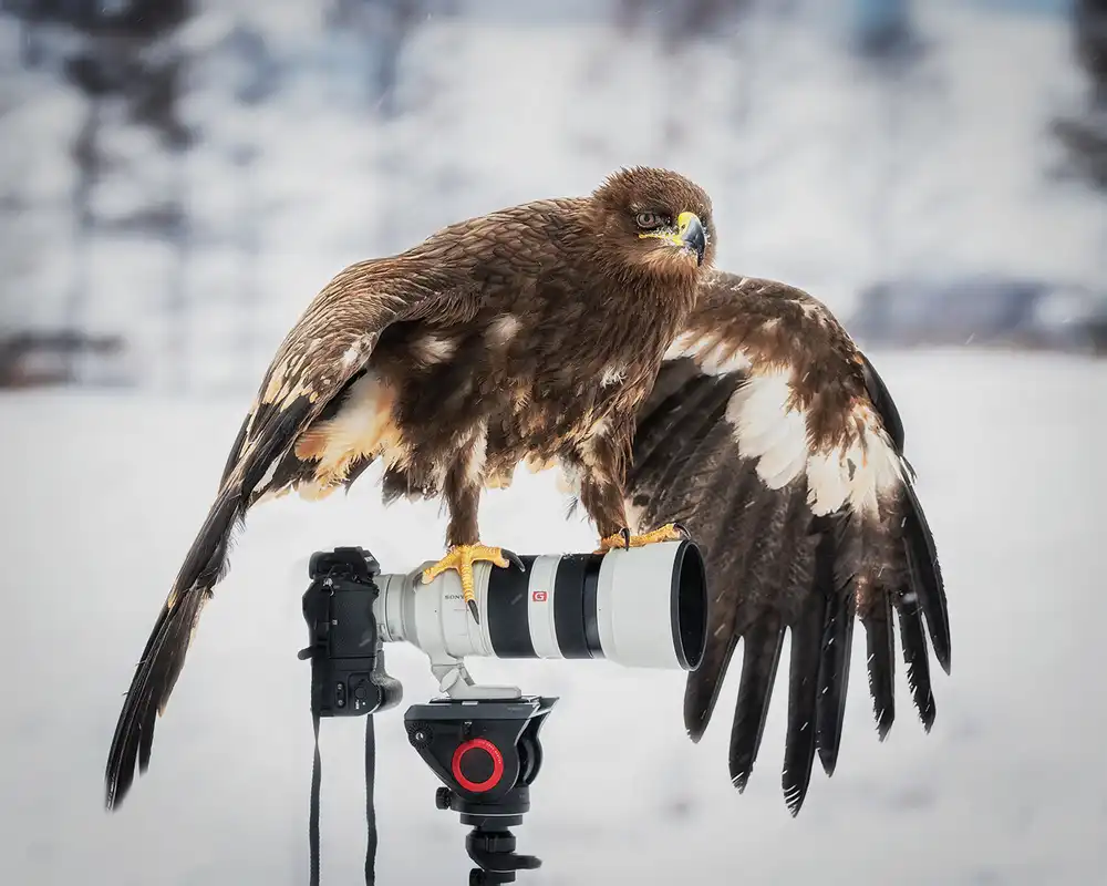 Poreider, Annie: Anch'io voglio essere un fotografo!