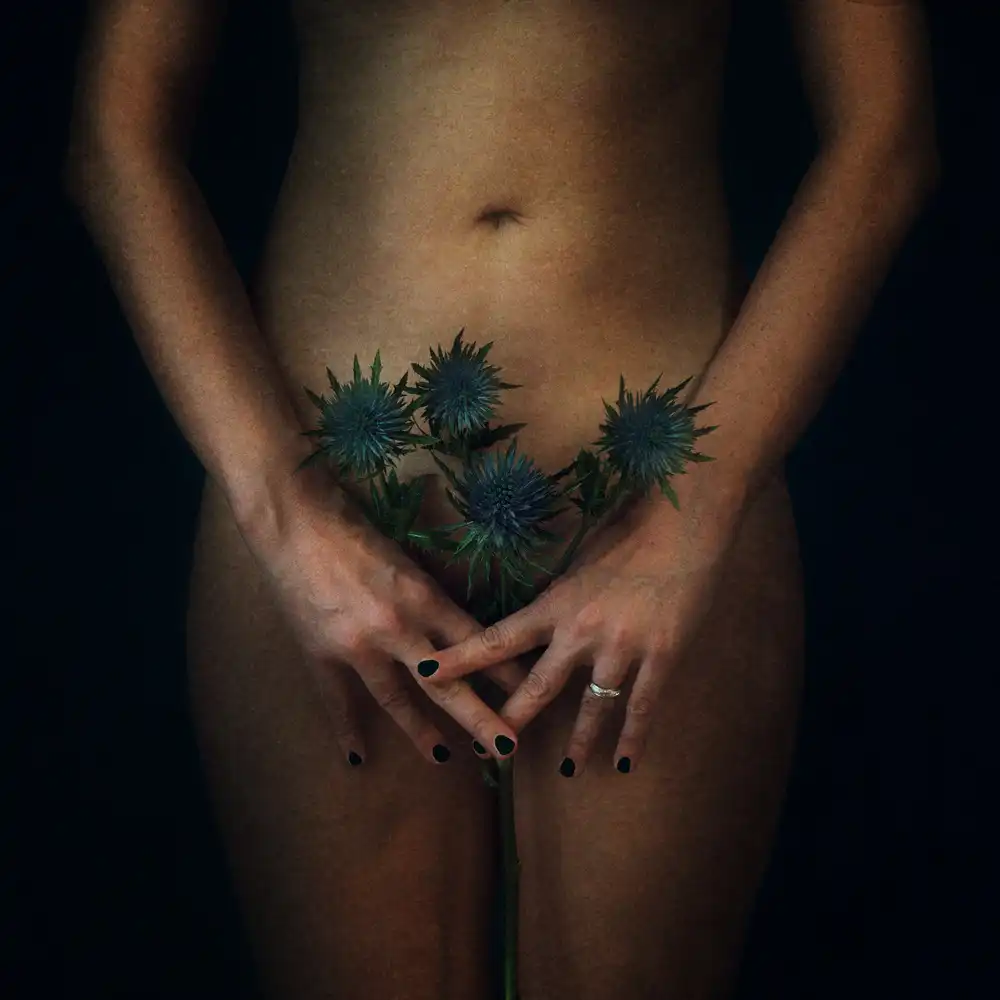 Benvenuti, Laura: Cardo