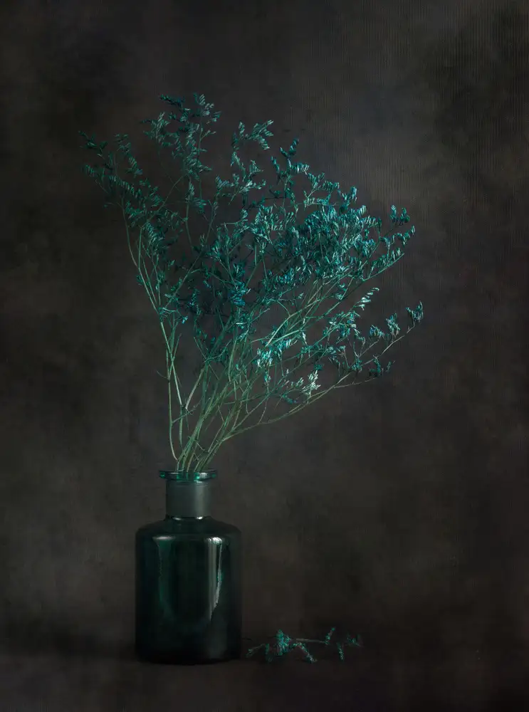 Kiral, Cicek: Linee blu