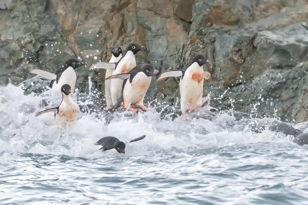 Wei, and Siyu: Courir vers la mer 2