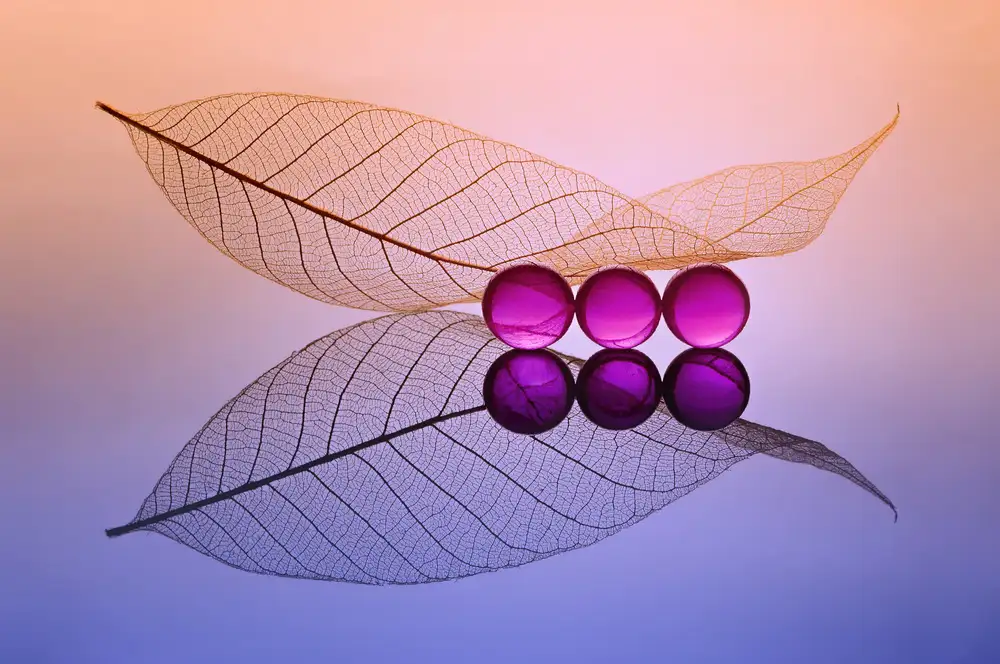 Pamungkas, Edy: Drei Buble und Blatt