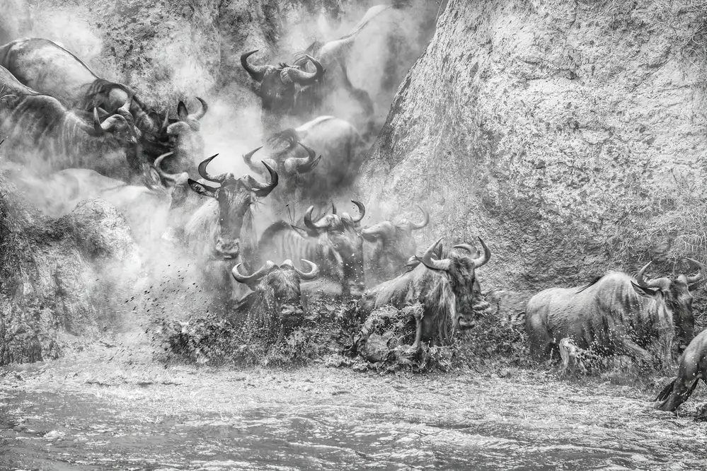 Sink, C. Jeffrey: Chaos na přechodu
