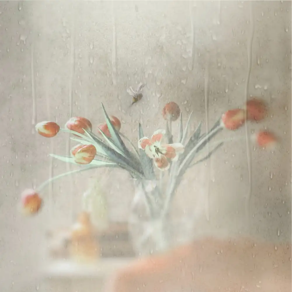 Devos, Delphine: Pluie inattendue