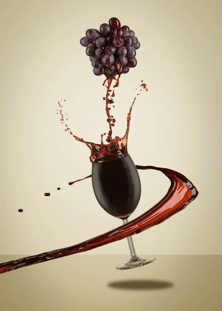 Sabat, Marc: Fare il vino